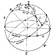 \includegraphics[width=0.35\textwidth]{hori-hora}