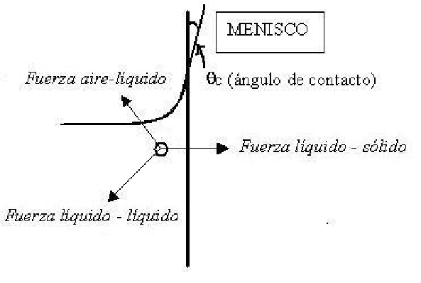 \includegraphics{fuerzasdecohesion}