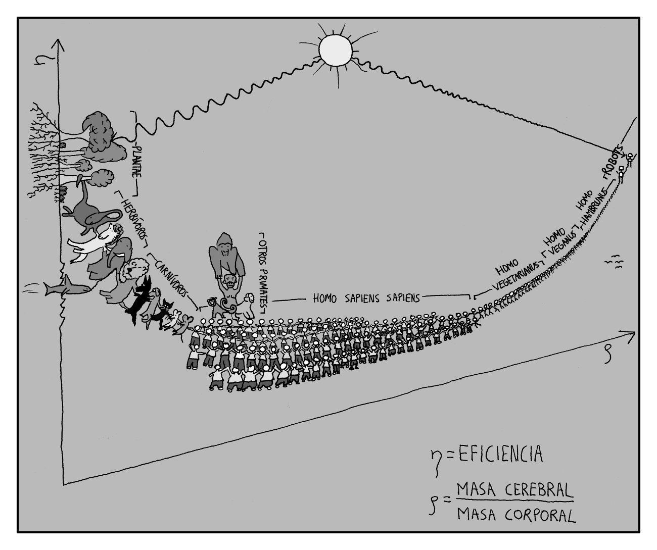 Evolución catenaria